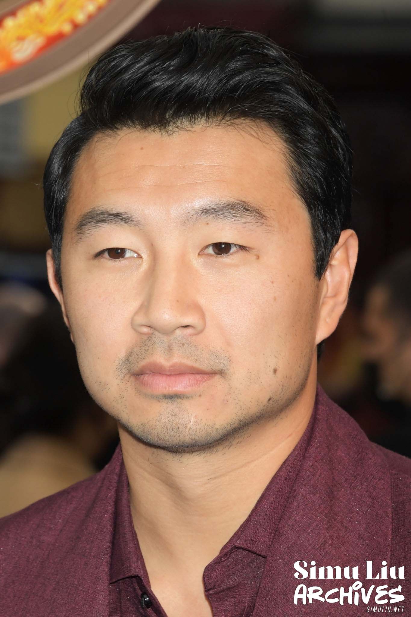 SimuLiuArchives-006.jpg SimuLiuArchives-006.jpg